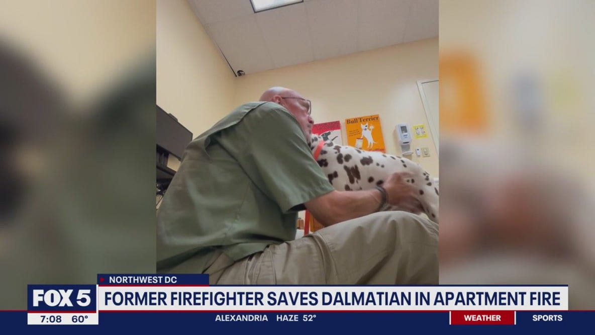 Former firefighter saves Dalmatian in fire